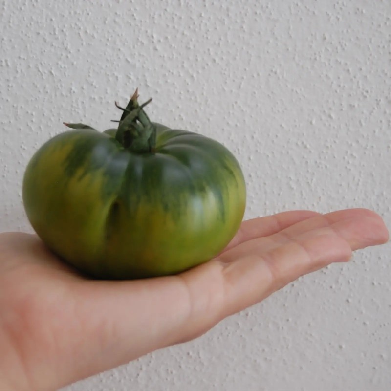 Tomate Raf de pepeRaf Caja de 9 Kg